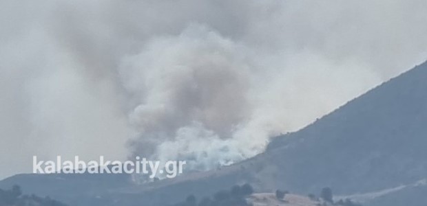 Φωτιά σε εξέλιξη στο Ορθοβούνι Καλαμπάκας